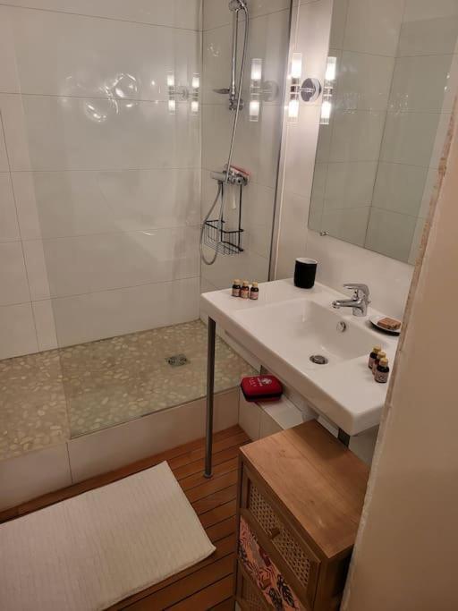 Appartement Luxe "La Providence" , Plein Centre Vichy Esterno foto