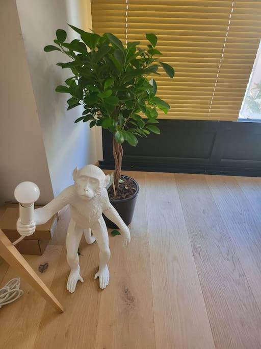 Appartement Luxe "La Providence" , Plein Centre Vichy Esterno foto