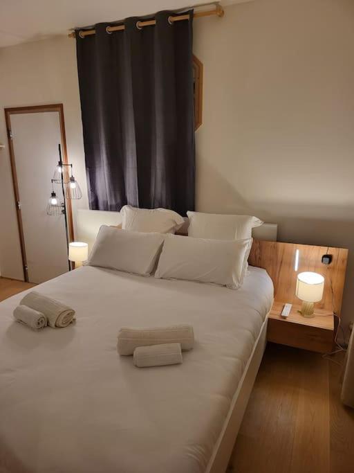 Appartement Luxe "La Providence" , Plein Centre Vichy Esterno foto